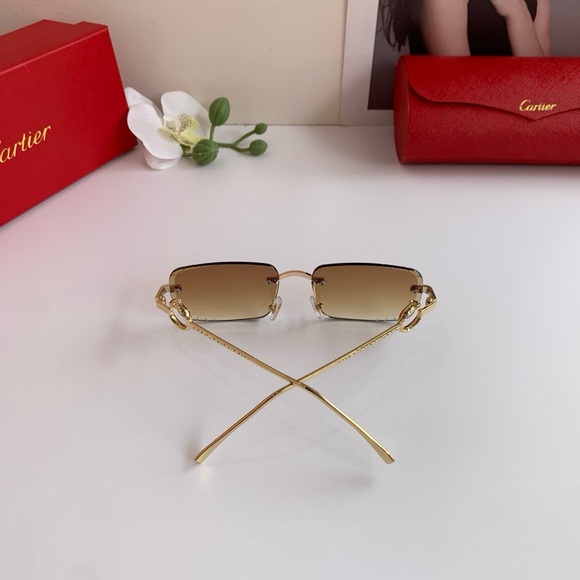 Cartier Gold and Brown Women\'s Sunglasses main image 7